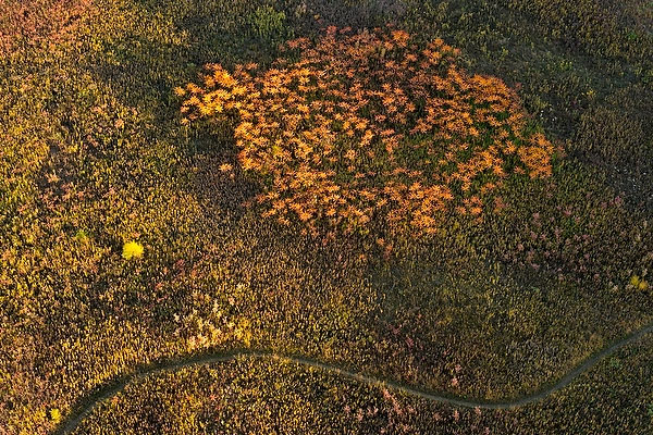 aerial photo of nature preserve