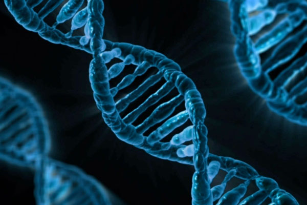 close up illustration of DNA
