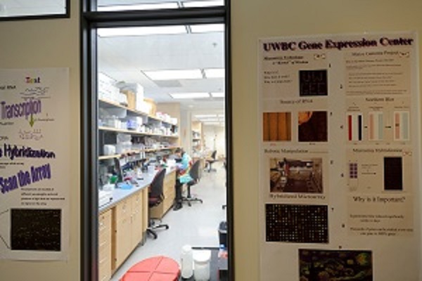Gene Expression Lab at Biotechnology Center