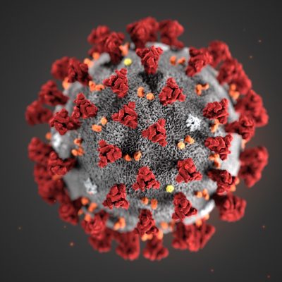 The 2019 Novel Coronavirus (2019-nCoV), portrayed in an illustration created at the Centers for Disease Control and Prevention. Alissa Eckert, MS; Dan Higgins, MAM