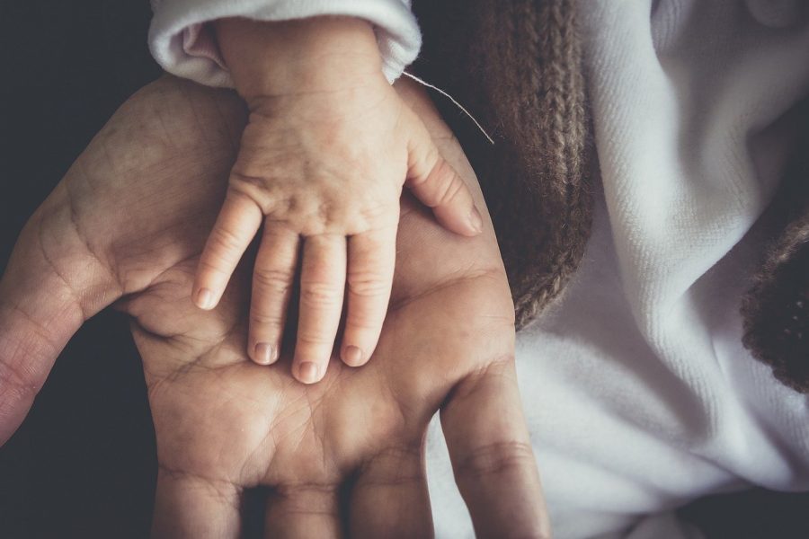 Child hand in man's hand. CREDIT: Image by skalekar1992 from Pixabay