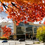 A red-hued maple tree frames a view of the Discovery Building at the University of Wisconsin-Madison and University Avenue during autumn on Oct. 21, 2016. (Photo by Jeff Miller/UW-Madison)