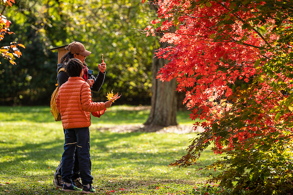 Vistors enjoy the colors of the fall leaves in the Longnecker Gardens at the University of Wisconsin-Madison Arboretum during autumn on October 27, 2021. (Photo by Bryce Richter / UW-Madison)